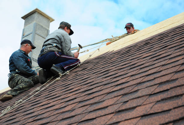 Best Shingle Roofing Installation  in Lisbon, OH